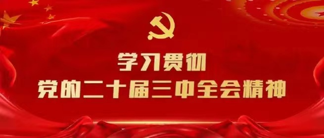 學(xué)習(xí)會議精神，貫徹落實(shí)工作 --川勘天晟源公司黨支部召開主題黨員大會